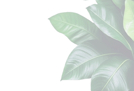 Decorative leaf